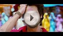 The Best of Bollywood 2013 Mashup